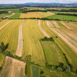 Scenic aerial view of green and yellow fields in Garešnica, showcasing agricultural patterns and rural beauty.